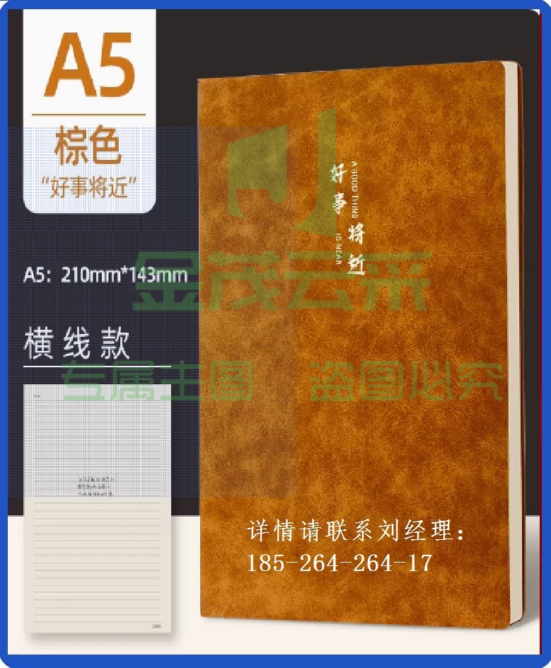 A5软皮笔记本子 羊巴皮记事本记录本加厚皮面本