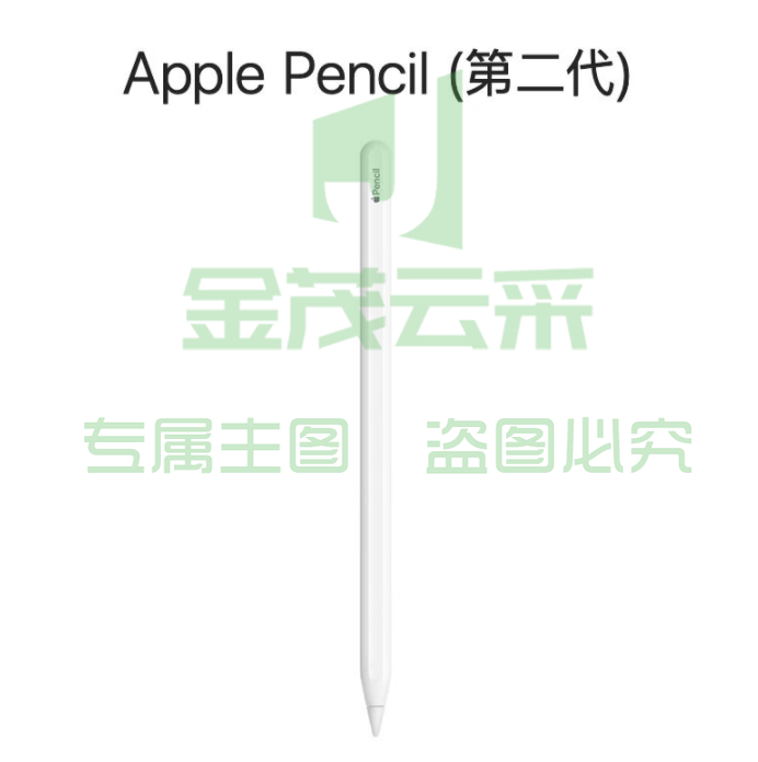 Apple Pencil (第二代) 适用于 2022/2021款12.9 英寸和11英寸iPad Pro/2022款10.9英寸iPad Air