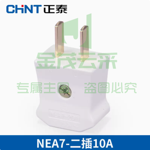 正泰两脚插头10A不带线