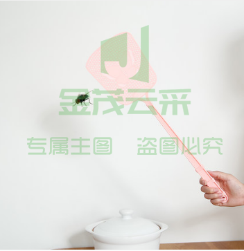 家用塑料 苍蝇拍 手动打蚊子灭蚊拍（颜色，花纹随机）
