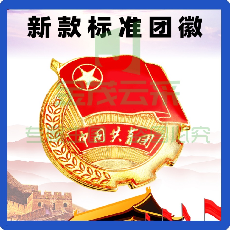 新款团徽2022标准型 2.0cm标准款小磁铁 磁扣团徽50枚 中国共青团团员徽章学校学生青年用强磁党徽