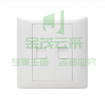 欧佰特(OBTE)/两位电脑插座/Q3全塑系列/10个一盒