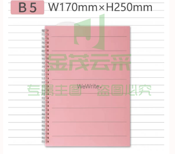 富美高WeWrite丽致书写系列线圈钢笔纸笔记本421混色A5