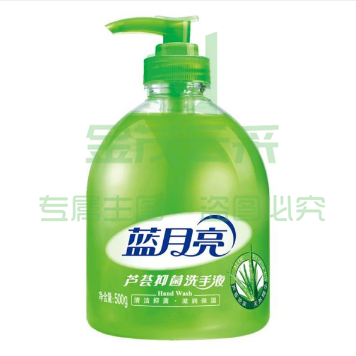 蓝月亮 瓶装芦荟抑菌洗手液 500g