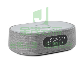 哈曼卡顿 (Harman Kardon) CITATION OASIS FM 音乐绿洲 人工智能音箱 带收音机和无线充电 支持Wi-Fi 灰色