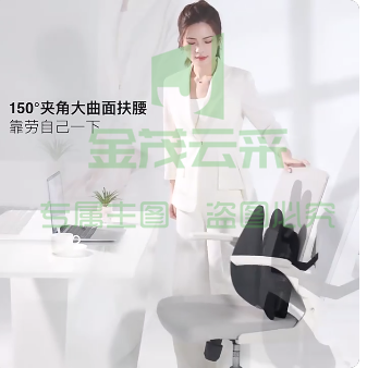 PPW人体工学靠枕办公室椅子靠垫腰枕靠背垫座椅久坐护腰椎神器 1件装