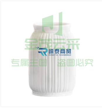 陶瓷花瓶客厅摆件植物插花瓶哑光白
