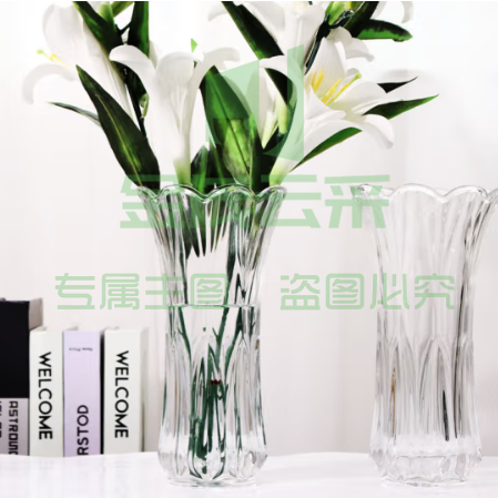 盛世泰堡 玻璃花瓶大号透明水养植物富贵竹百合假花水培插花大花瓶客厅装饰摆件 凤尾款24cm