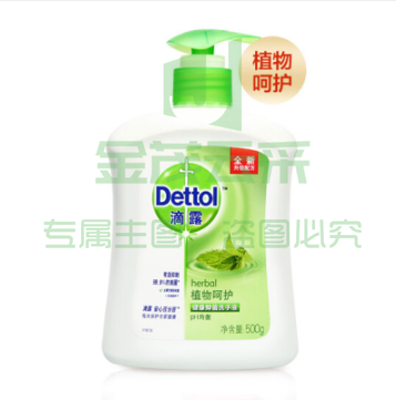 滴露/Dettol 健康抑菌洗手液植物呵护500g 抑菌99.9%