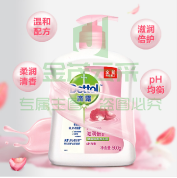 滴露Dettol健康抑菌洗手液滋润倍护500g 抑菌99.9%