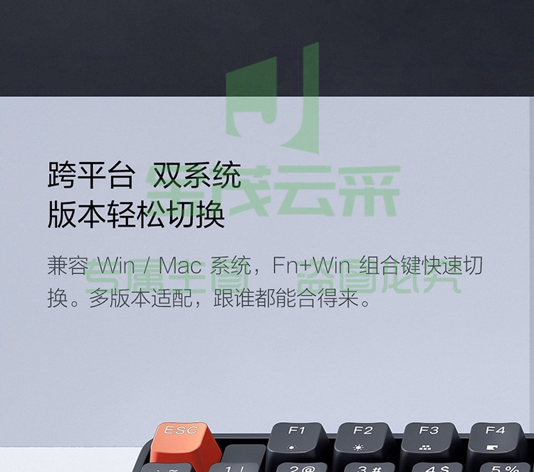 37e2817445d44a0e.jpg.avif