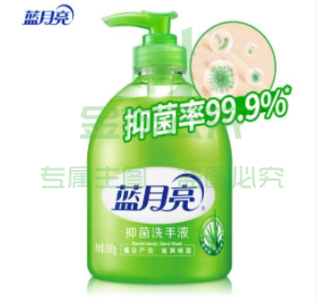 蓝月亮洗手液500克/瓶