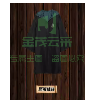 万圣节巫袍 斯莱特林