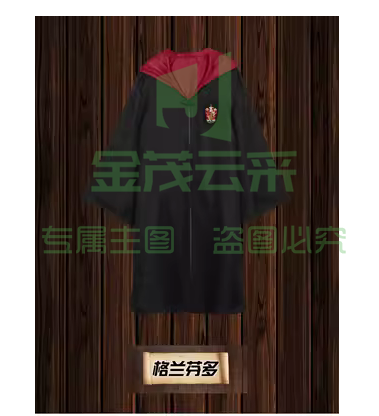 万圣节巫袍 格兰芬多