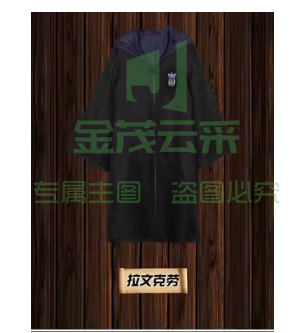 万圣节巫袍 拉文克劳
