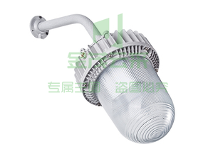 LED 平台灯 亚神：100W 壁装式