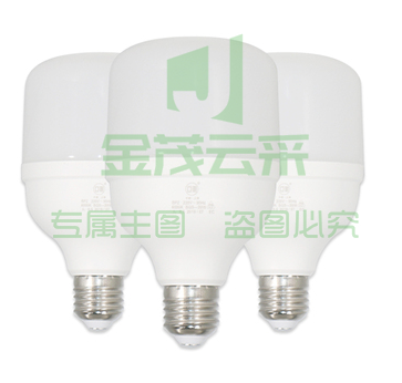 LED球灯泡 上海亚明：10W AC220V