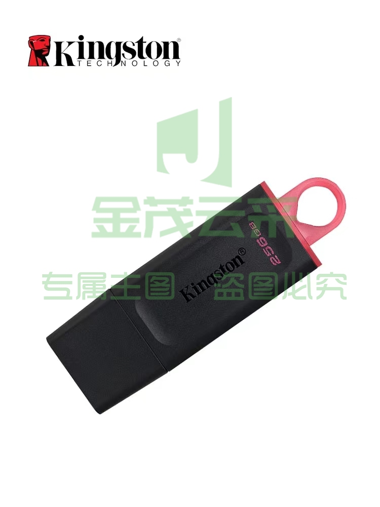 金士顿(Kingston)256GB USB3.2 Gen 1 U盘DTX
