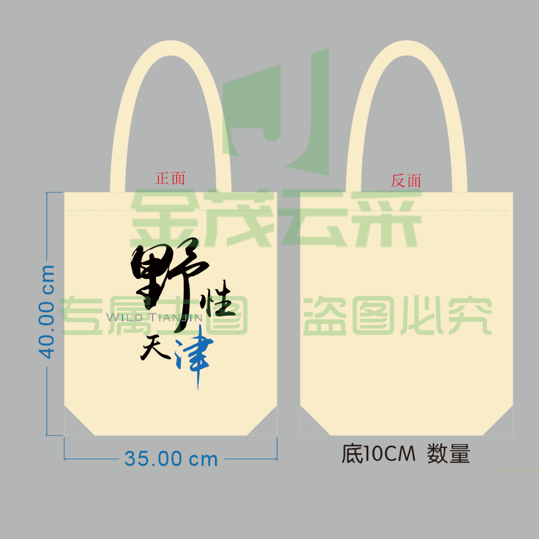 帆布袋，白色，含拉链 （100个起订）