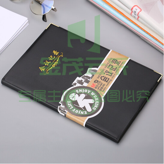 晨光B5会议记录皮本100页APYLJ487