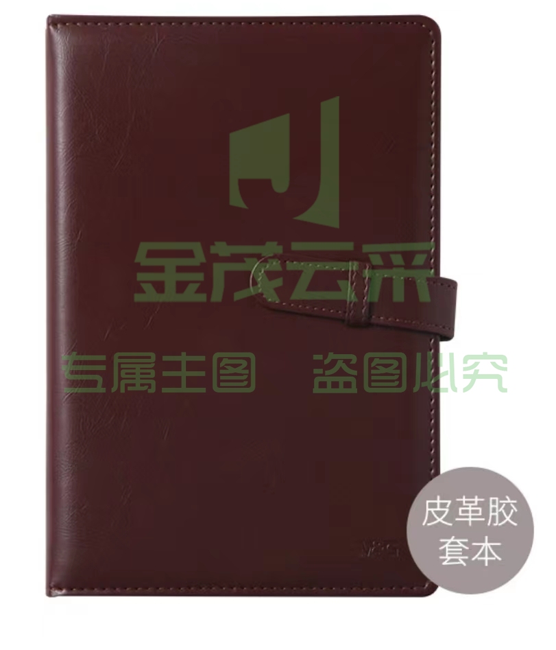 晨光A5皮革胶套本APY4G381