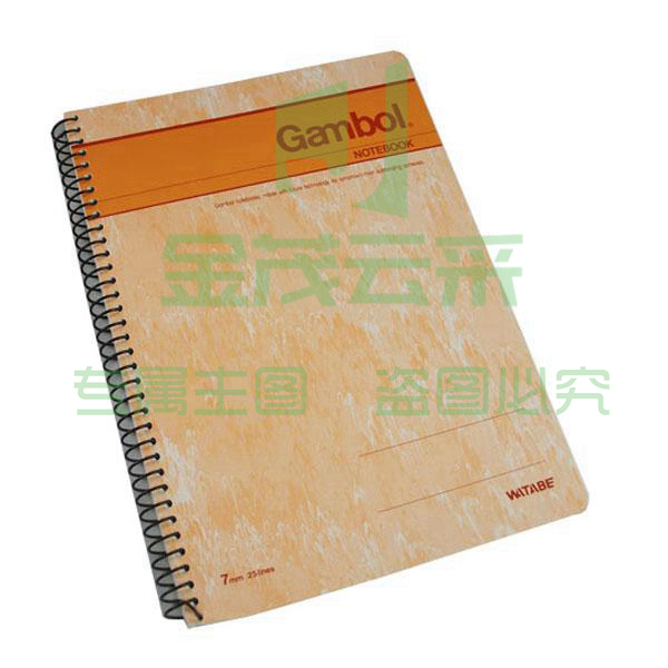1100012340P00 渡边 S5003/S5007 螺旋装订本 A5 100页 混色 6本/封 混色