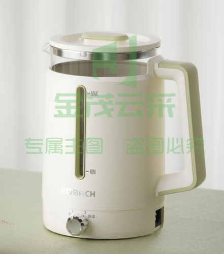 养生壶 液体加热器