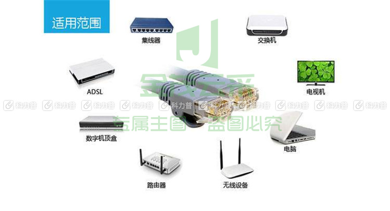 酷比客 L-CUBIC 超六类万兆网线 圆线 LCLN6ARRBE-15M 15米 (灰色)