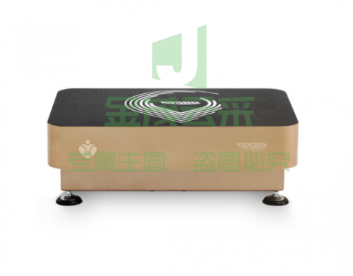 bodygreen全身有氧垂直律动机 I-vib6050A