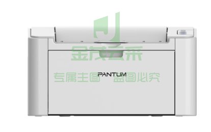奔图(PANTUM) 黑白激光打印机 P2518NW单打印、钉钉远程打印、WIFI、网线 官方标配