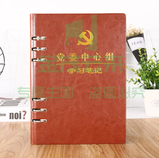 党员笔记本活页款  党委中心组A5 棕色 活页  货号：LJ