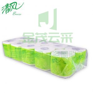 清风卷纸 卫生纸 250段10卷/提 B202A