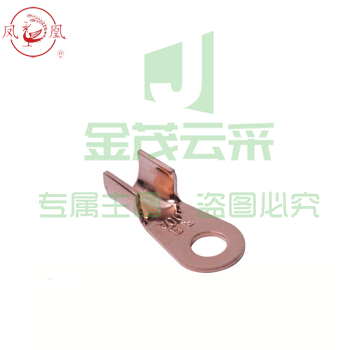 凤凰 100A 铜接线鼻子开口鼻子