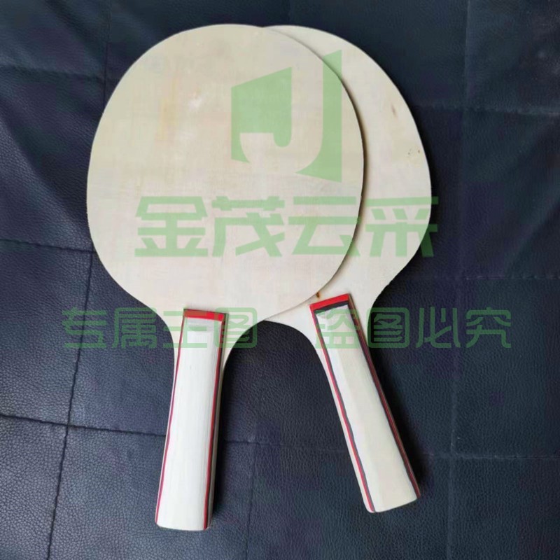宏康健30814304900板羽球拍
