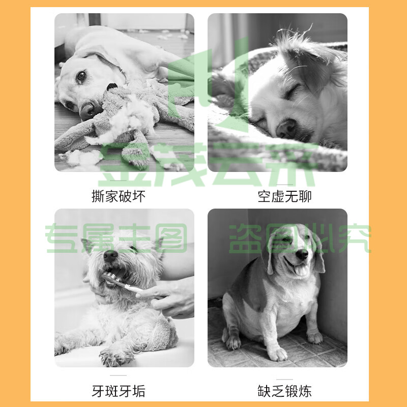 萌嘟星宠 狗狗玩具球洁齿耐咬磨牙发光发声橡胶骨头橄榄球金毛泰迪柯基绳结互动训练解闷宠物用品 5件套