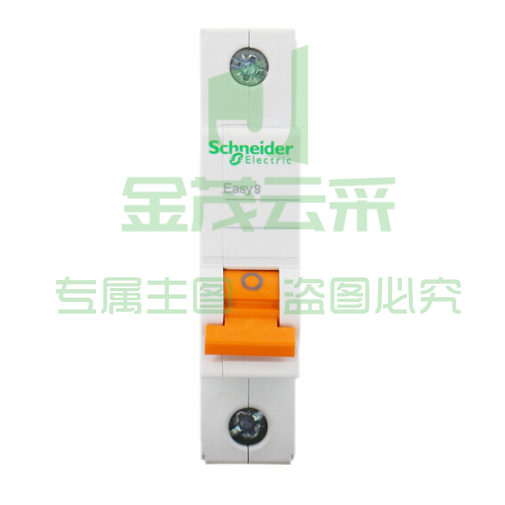 施耐德 小型断路器  EA9AN-C1P/50A C