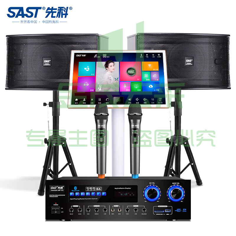 先科(SAST) D20 家庭影院ktv音响套装点歌机一体机家用功放机卡拉OK音箱点唱机卡包音箱设备 10英寸