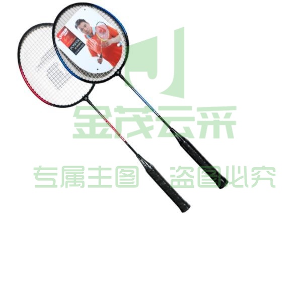红双喜（DHS）羽毛球拍对拍 训练羽毛球拍 208 一副