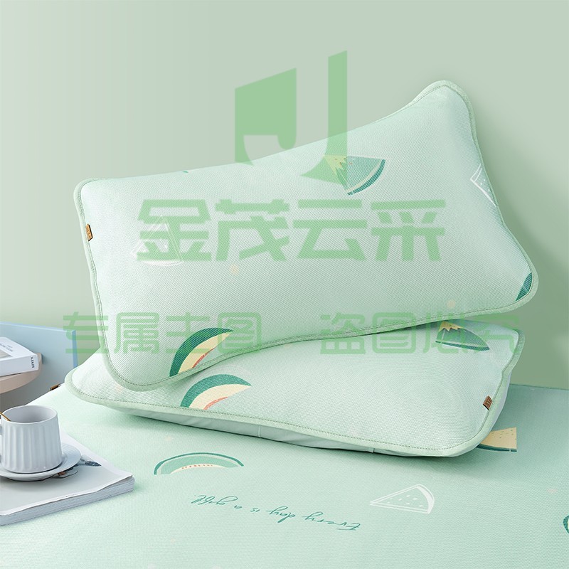  博洋(BEYOND)博洋夏季冰丝枕套一对装枕头套单双人夏天信封式凉席枕套夏 冰丝枕套—青青瓜香（一对装） 48*74cm