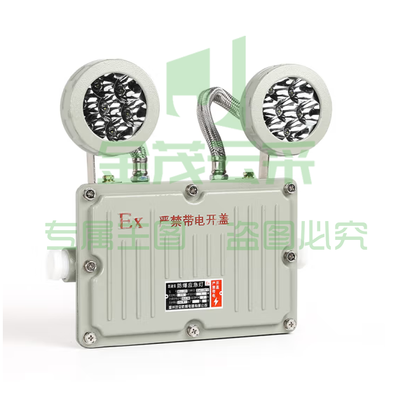 防爆应急照明灯  防爆应急灯
