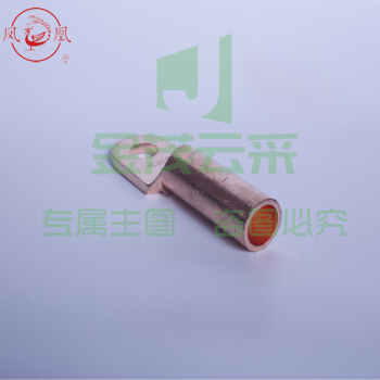凤凰 DT--10国标A型 铜端子铜鼻子