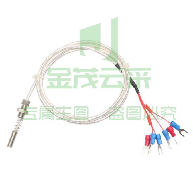 端面热电阻WZPM-201 PT100双组  螺纹M10*1 探头管8*18mm 线长2米"