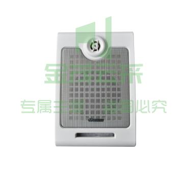 湖山 BGS-5W  壁挂扬声器