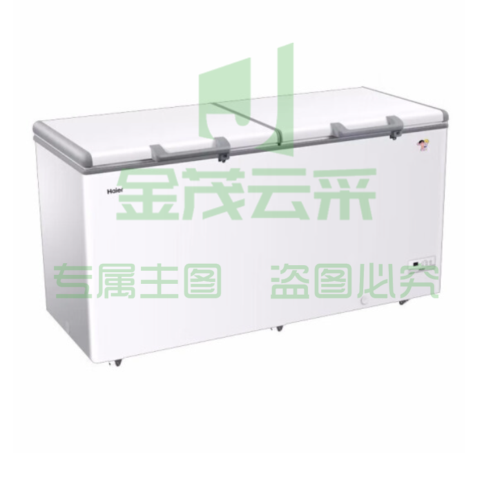 海尔（Haier）冰柜519升商用大容量冻柜 BC/BD-519HEM