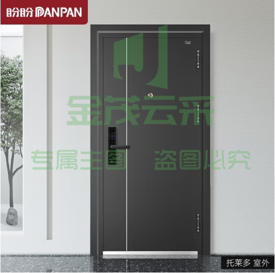 盼盼（Pan Pan）盼盼防盗门别墅大门甲级家用安全门指纹锁子母门单门入户进户门 托莱多-单门-2050*960-外开 机械锁 (zhyghf_40011177)