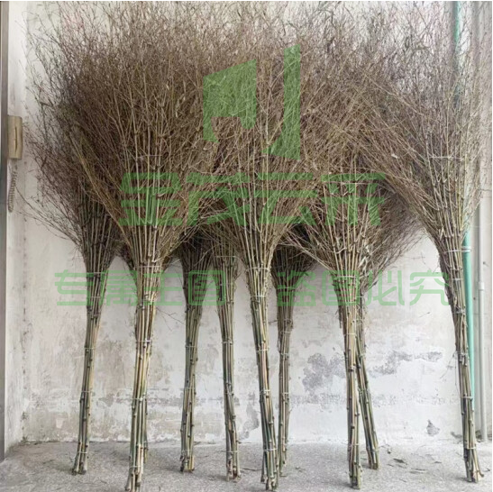 加厚一体式环卫大竹扫把 加厚笤帚