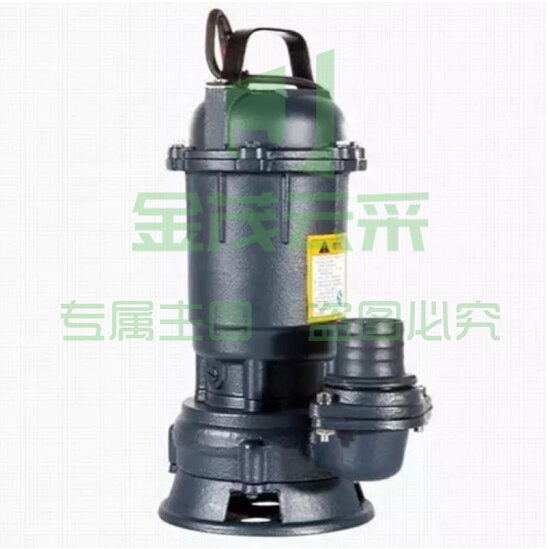 上海人民 单相污水污物潜水电泵 220V WQD6-16-0.75  含兰水带