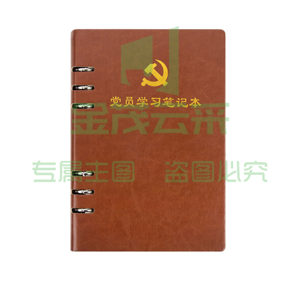 活页式党员学习笔记本A5 党员会议记录本党员本（棕色）
