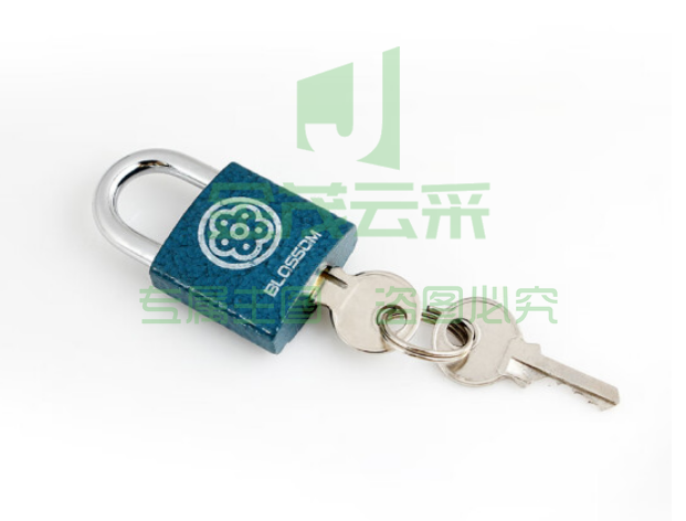 梅花(BLOSSOM)抽屉锁挂锁工具箱室内小锁宿舍柜子门锁电表箱锁BC2925蓝25MM