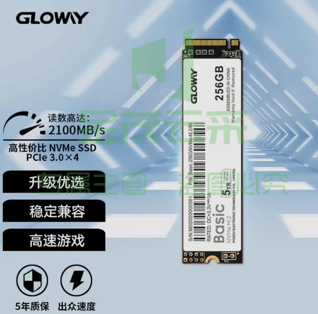 光威 256GB SSD固态硬盘 M.2接口(NVMe协议) Basic-基础版 TLC颗粒